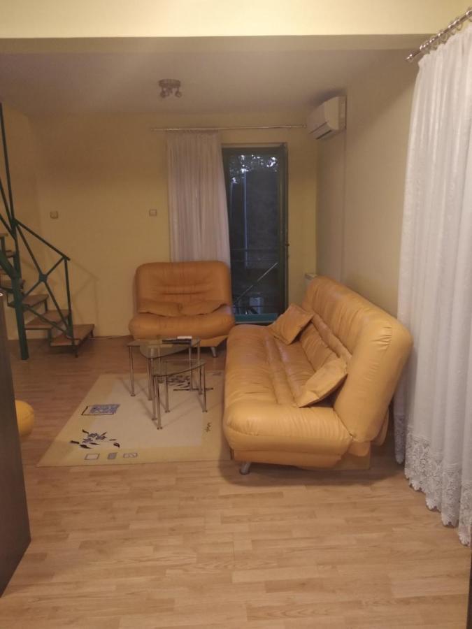 הוילה Vrnjačka Banja Zeleni Raj מראה חיצוני תמונה